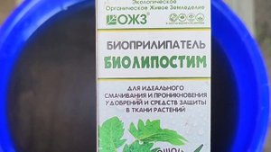 Важная обработка клубники весной во время бутонизации. Подкормка клубники для большого урожая.