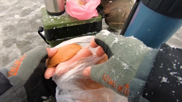 КАРП УКРАЛ УДОЧКУ! Зимняя рыбалка на карпа и карася в коряжнике! смотреть онлайн