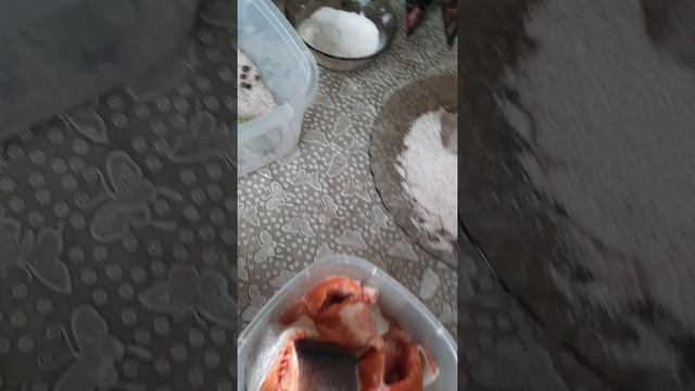 Засолка Форели в домашних условиях!