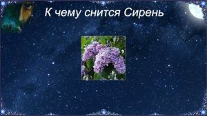 К чему снится Сирень (Сонник)