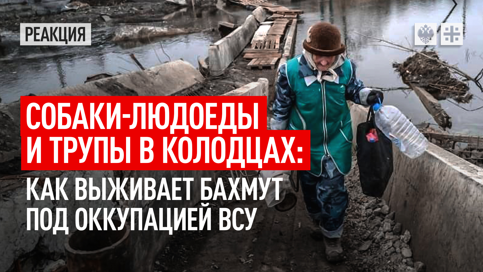 Собаки-людоеды и трупы в колодцах: как выживает Бахмут под оккупацией ВСУ