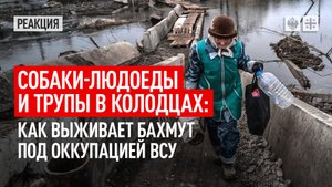 Собаки-людоеды и трупы в колодцах: как выживает Бахмут под оккупацией ВСУ