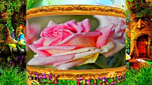 С Днём Рождения! Поздравление из Сказочного Леса 7 от Киностудии Мудрого Кота Тимофея!