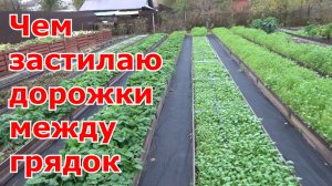 Дорожки (проходы) между грядками. Из чего мои дорожки между грядок, огород без сорняков и грязи