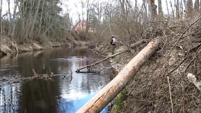 ЛОВЛЯ ДИКОЙ РУЧЬЕВОЙ ФОРЕЛИ.