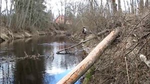 ЛОВЛЯ ДИКОЙ РУЧЬЕВОЙ ФОРЕЛИ.