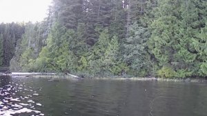 РЫБАЛКА НА ФОРЕЛЬ (РАЗРЕЗАННЫЙ ГОРЛО) . FISHING FOR CUTTHROAT TROUT. VANCOUVER ISLAND 2020-08-12