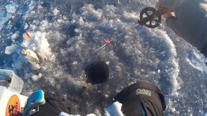 Ловля подлещика зимой на мормышку / Зимняя рыбалка на чигиринском вдх