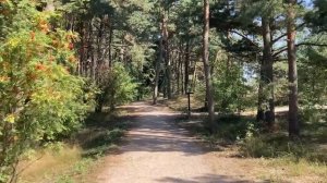 СЗАДИ И СПЕРЕДИ ТЕРЕБИЛИ ПО ОЧЕРЕДИ. Истории из жизни. Аудио рассказы, неверная жена