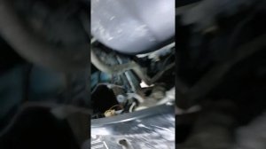 Skoda Octavia Tour: Замена зампочек ближнего/дальнего света и габаритных огней.