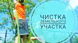 Покупка дачи. Уборка дачного участка.