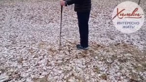Обучение технике и методике перед скандинавской ходьбой с палками