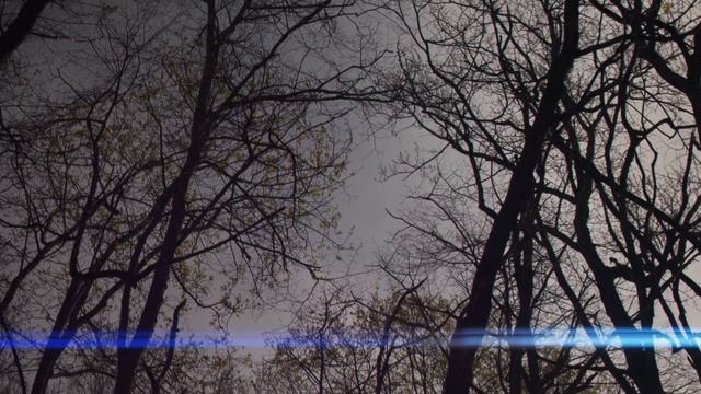 О, весна, без конца и без краю… / Воронеж смотреть онлайн