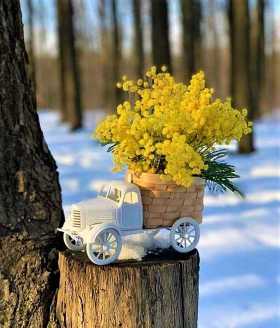 Счастливой Весны! Весенний привет! смотреть онлайн