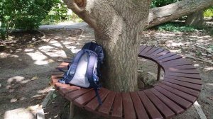 Чудо-павловния в Крыму!