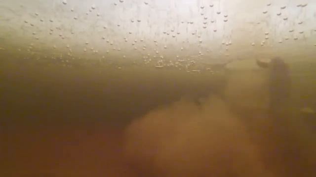 Подольдом.Щука. смотреть онлайн