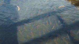 Зюраткульская ГЭС,