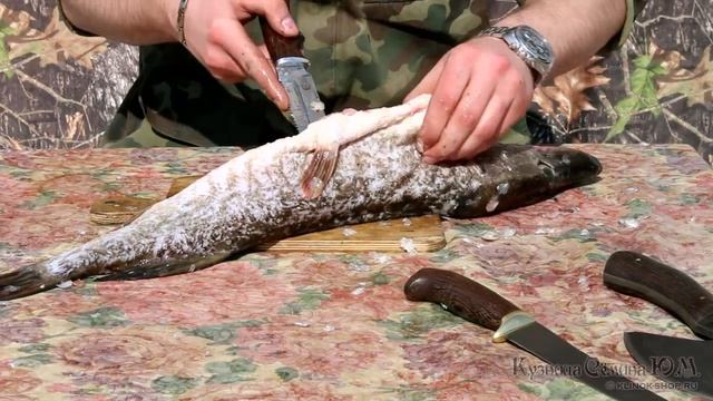 Тестирование рыбацкого ножа из кованой стали 95Х18 и филейного ножа из дамасской стали видео смотреть онлайн