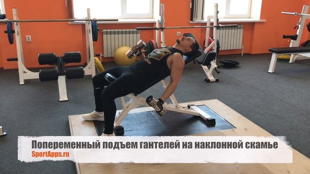 Попеременный подъем гантелей на наклонной скамье смотреть онлайн
