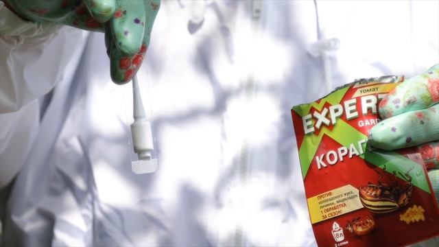 Чем обработать картофель от жука? Препарат со 100% гарантией! смотреть онлайн