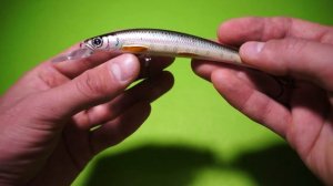 Видеообзор воблера Izumi Diving Minnow 110 по заказу Fmagazin
