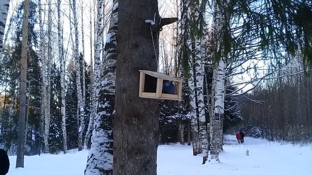 Поездка в кировский дендропарк. ??? Новости ремонта.? ??Испытания чудо-средства??? смотреть онлайн