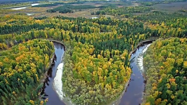 Русская  природа. Россия