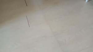 Укладка линолеума на ламинат Красноярск Таркетт Гранд Давос 1