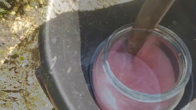 ОБРАБАТЫВАЕМ ХВОЙНЫЕ. Последняя осенняя обработка ёлочек, туй, можжевельников, пихт от вредителей. смотреть онлайн