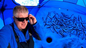 Попал на клев селедки! Клюет без перерыва!