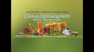 Грибные препараты для повышения иммунитета