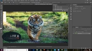 how to make pngs from pictures and photos very fast - photoshop png tutorial