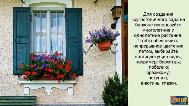 Какие цветы можно выращивать на балконе