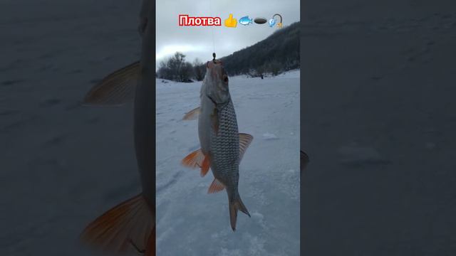 РЫБАЛКА на МОРМЫШКУ 🐟🌊 РЕКА ЗУША 🌊🐟🎣🐟🌊🐟🎣🌊🐟🌅