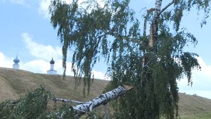 Ураган в Рязанской области: последствия