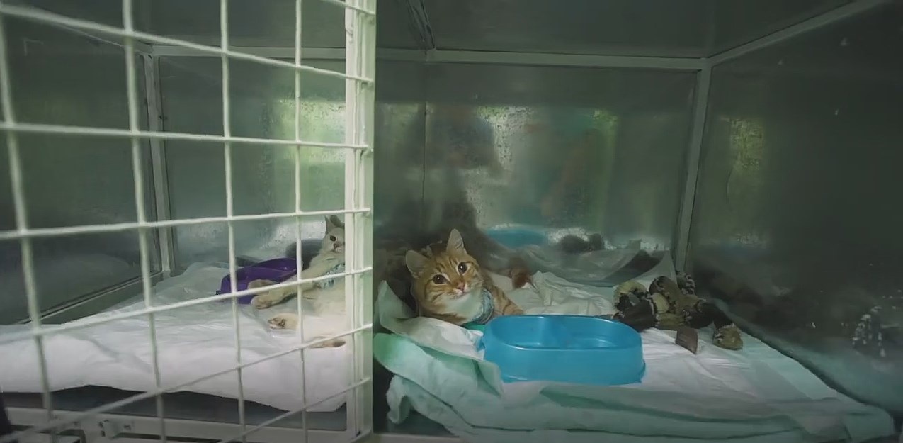 Всегда есть надежда. смотреть онлайн