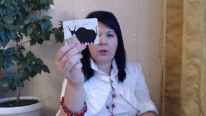 МАК-колода Лидия Якоб: как работать с сюрреалистичными образами