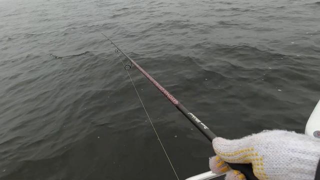 спиннинг на Десногорском водохранилище 18.11.2021год!!! судак на джиг и поролон... смотреть онлайн