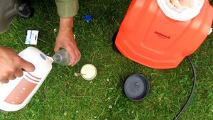 ??Самая важная обработка винограда перед цветением от болезней. Схема обработки винограда.