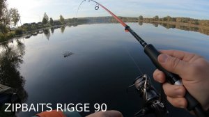 Воблер ZIPBAITS RIGGE 90 в деле...