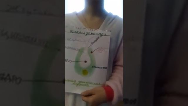 Биология 5 класс 18 параграф смотреть онлайн