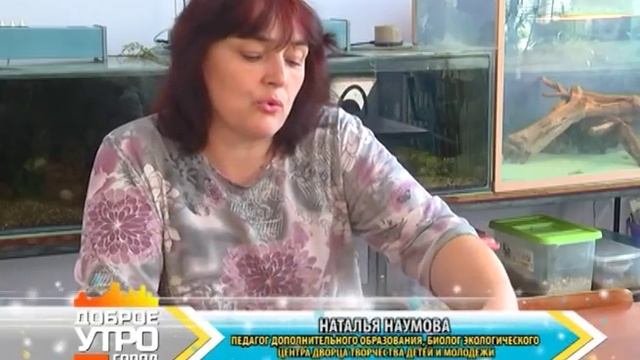 КРАСНОУХАЯ ЧЕРЕПАХА ДОМА (07.08)