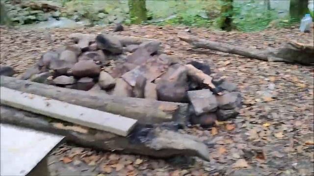 ТУНДРА-КУБАНЬ ПО ГРЫБЫ С МУРКОЙ.??