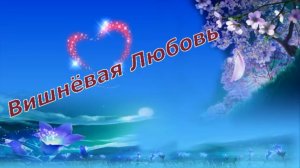 Николай Басков  -  Вишнёвая Любовь.mp4