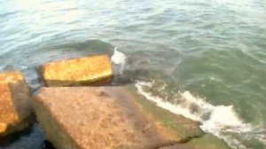 Где собирать МИДИИ