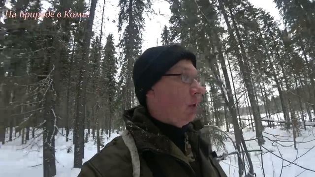 Целый день поход на лыжах в тайге. 2 серия. смотреть онлайн