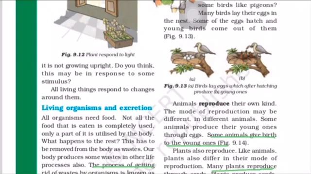 NCERT class-6 Science “THE LIVING ORGANISMS CHARACTERISTICS AND HABITATS” part-3chpt-9 смотреть онлайн