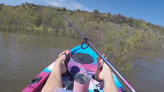 Kayak Fishing Roosevelt Lake (BABY BASS EXTRAVAGANZA!) смотреть онлайн
