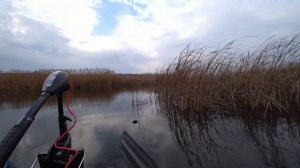 Ловля ЩУКИ в камыше на советские блесны!