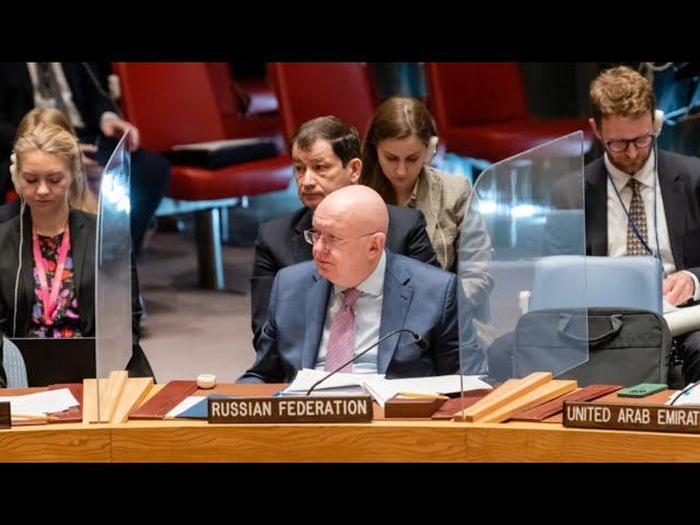 Statement by Amb. Nebenzia at UNSC briefing on the implementation of resolution 2118 (Syria CW)